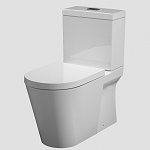 wall faced toilets